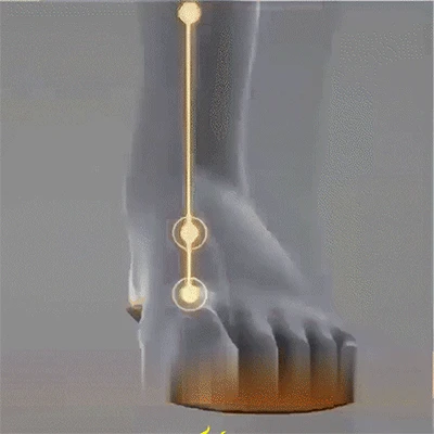 1.gif